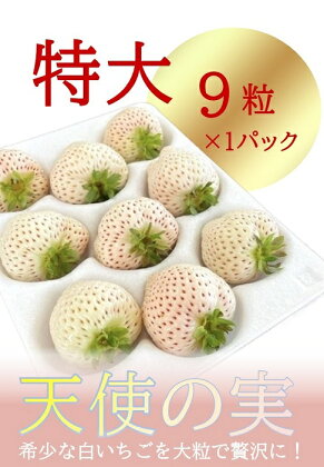 シエルファーム 特大 白いちご 9粒 天使の実 / 高級 いちご 苺