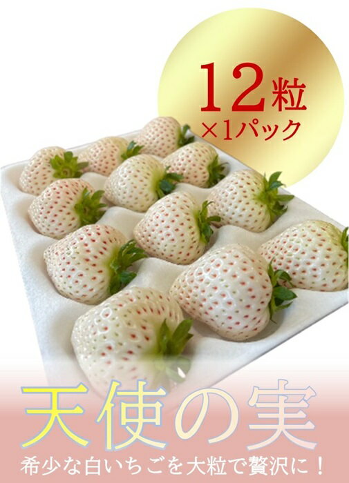 25位! 口コミ数「0件」評価「0」シエルファーム 大粒 白いちご 12粒 天使の実 / 高級 いちご 苺