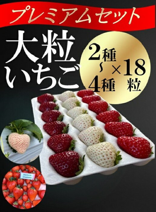 シエルファーム 大粒いちご 18粒 プレミアム 食べ比べ / 特大 高級 いちご 苺