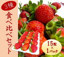 【ふるさと納税】シエルファーム 大粒いちご 15粒 3品種 食べ比べ / 大粒 高級 いちご 苺
