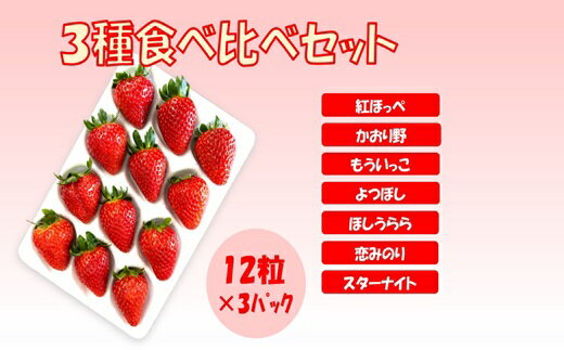 20位! 口コミ数「0件」評価「0」シエルファーム 大粒いちご 12粒 3品種 食べ比べ 3パック / 大粒 高級 いちご 苺