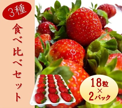 シエルファーム 大粒いちご 18粒 3品種 食べ比べ 2パック / 大粒 高級 いちご 苺