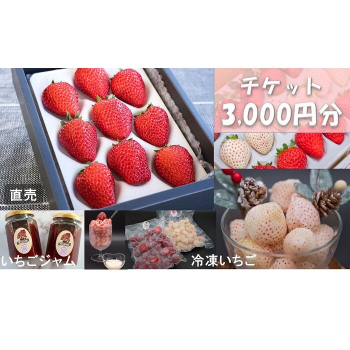 【ふるさと納税】シエルファーム いちごチケット 3000円分/ 苺 いちご