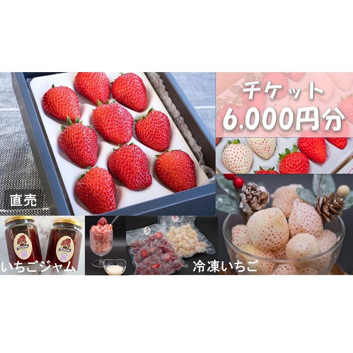 シエルファーム いちごチケット 6000円分/ 苺 いちご