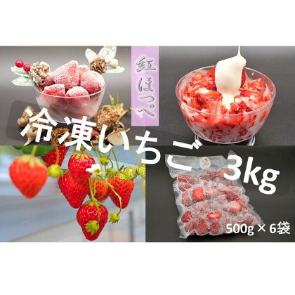 シエルファーム 冷凍いちご 紅ほっぺ 3kg / 苺 千葉