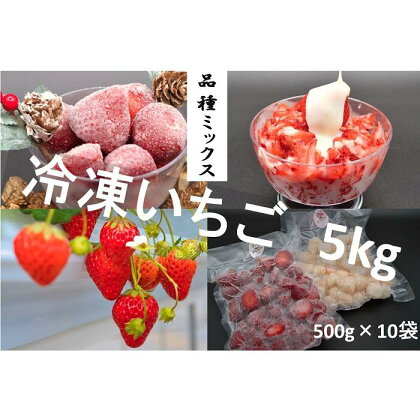 シエルファーム 冷凍いちご 品種ミックス 5kg / 苺 千葉