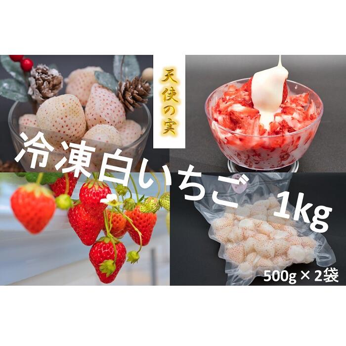 【ふるさと納税】シエルファーム 冷凍白いちご 天使の実 1kg / 苺 千葉