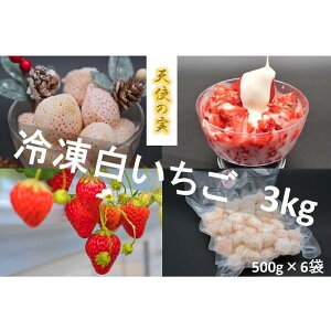 【ふるさと納税】シエルファーム 冷凍白いちご 天使の実 3kg / 苺 千葉