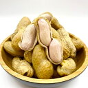 【ふるさと納税】生落花生「おおまさり」約2kg 落花生 / 豆 から付き おつまみ 千葉県 特産品