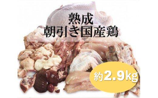 【ふるさと納税】熟成　朝引き国産鶏　約2.9kg / 鶏肉 国産 セット 小分け 鳥 一羽 オーダーメイド 手さばき