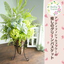 【ふるさと納税】『癒しのグリーンバスケット』高品質な造花=グリーントールアレンジメント= / 高品質 造花 アーティフィシャルフラワー アレンジメント Bell...