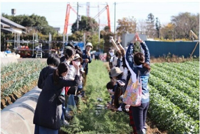 【ふるさと納税】農家キレド 畑と野菜の料理教室体験チケット / キレド / 農業体験 体験 野菜 収穫 畑ツアー ツアー 自然 料理教室 料理 教室 1名様分 1人分 チケットその2