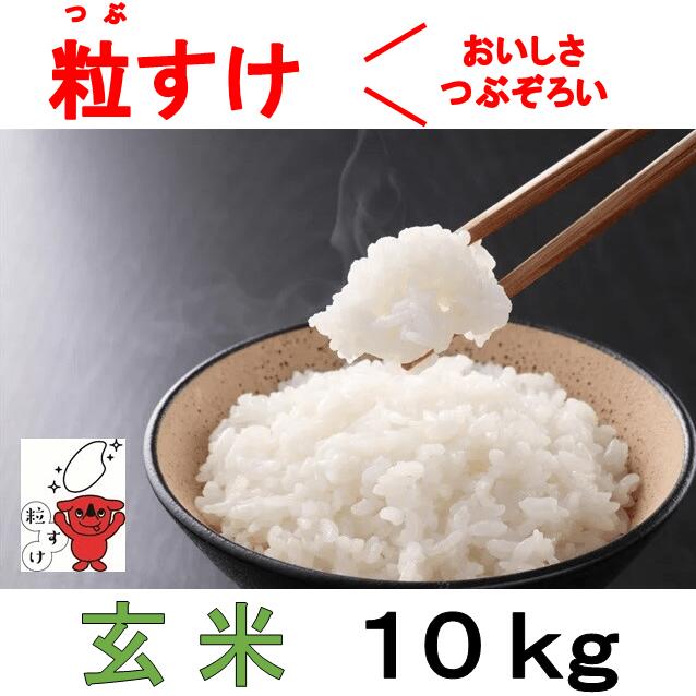 【ふるさと納税】四街道産 粒すけ 10kg 玄米 / お米 つぶすけ 新品種