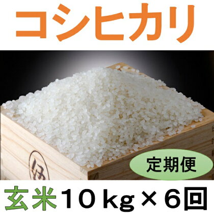 定期便 6回 こだわり コシヒカリ 玄米 10kg / お米