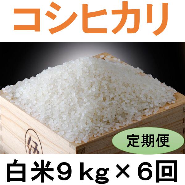 3位! 口コミ数「0件」評価「0」定期便 6回 こだわり コシヒカリ 白米 9kg / お米 定期便 精米 厳選 米 ごはん ご飯 産地直送