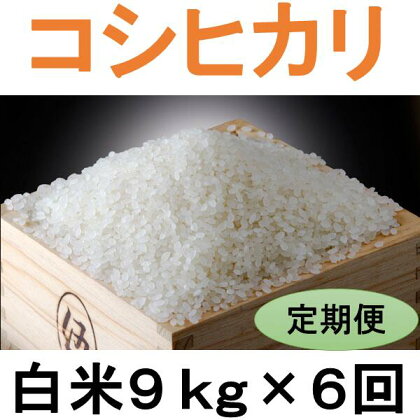 定期便 6回 こだわり コシヒカリ 白米 9kg / お米 定期便 精米 厳選 米 ごはん ご飯 産地直送