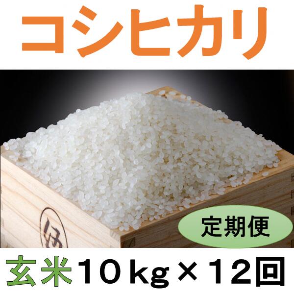 定期便 12回 こだわり コシヒカリ 玄米 10kg / お米