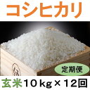 17位! 口コミ数「0件」評価「0」定期便 12回 こだわり コシヒカリ 玄米 10kg / お米