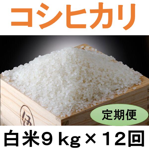 定期便 12回 こだわり コシヒカリ 白米 9kg / お米 定期便 精米 厳選 米 ごはん ご飯 産地直送