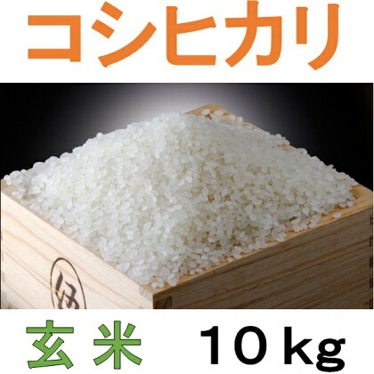 四街道産 コシヒカリ 10kg 玄米 / お米 こしひかり