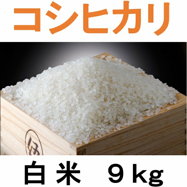 【ふるさと納税】四街道産 コシヒカリ 9kg 白米 / お米