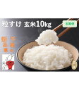 【ふるさと納税】定期便 12回 こだわり 粒すけ 玄米 10kg / お米 つぶすけ 厳選 米 ごはん ご飯 産地直送