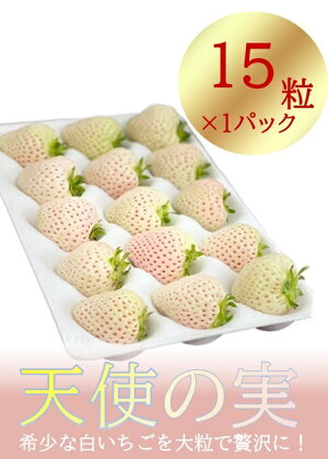 シエルファーム 大粒 白いちご 15粒 天使の実 / 高級 いちご 苺