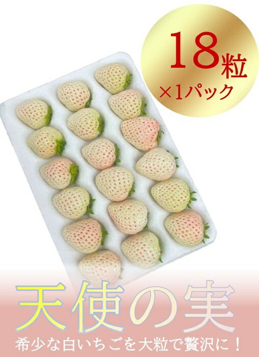 50位! 口コミ数「0件」評価「0」シエルファーム 大粒 白いちご 18粒 天使の実 / 高級 いちご 苺