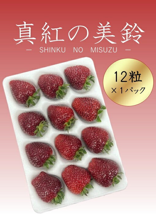 【ふるさと納税】シエルファーム 大粒 黒いちご 12粒 真紅の美鈴 / 高級 いちご 苺