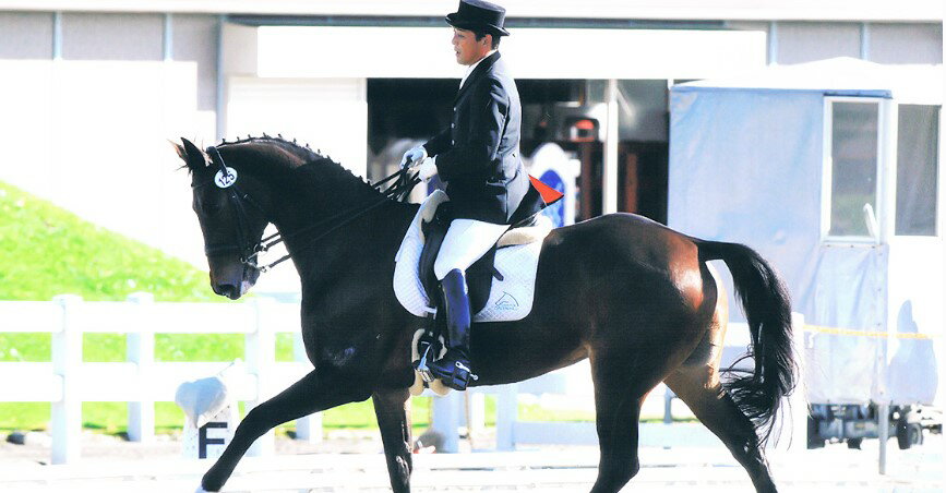 四街道グリーンヒル乗馬クラブ 店頭利用券 50000円分 / 乗馬体験 ビジターレッスン 自馬預託料