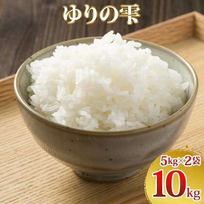 令和5年度産 ゆりの雫5kg×2 ｜ お米 おこめ ふさおとめ 推奨米 袖ケ浦 千葉 [0152]