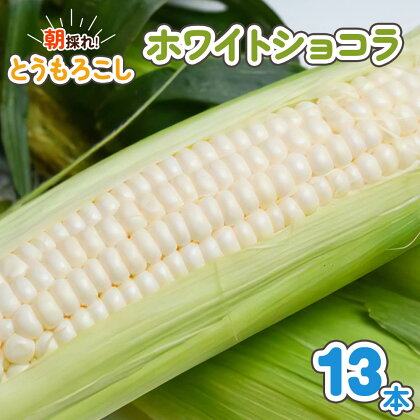 朝採れとうもろこし ホワイトショコラ 13本入 [0147]トウモロコシ スイートコーン 野菜