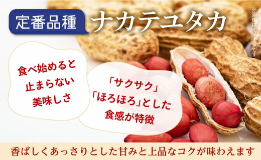 �ڤդ뤵��Ǽ�ǡ������ ���ո��� Ȭ�� 3��ͤ��碌 1320g ( 220g �� 6�� ) ���դ� �ԡ��ʥå� ��ä����� �ʥå� ���Ĥޤ� ����� ���ۻ� ������� �� ���ե� ���å� ����̵�� �������� �͵� ��ŷ�դ뤵��Ǽ�� �դ뤵��Ǽ������ �� �ӡ��� ��