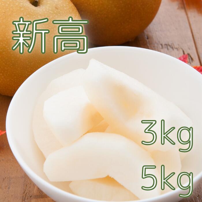 【ふるさと納税】期間限定 新高 3kg 5kg 土屋梨園 申