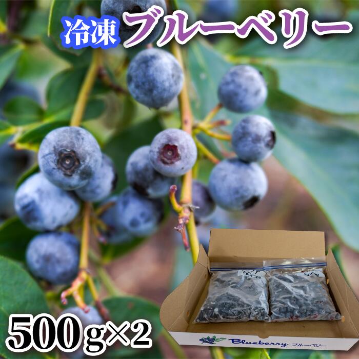 【ふるさと納税】冷凍ブルーベリー 500g×2パック 八街市 ブルーベリー 果物 フルーツ ブルーベリー 冷凍 ブルーベリー大粒