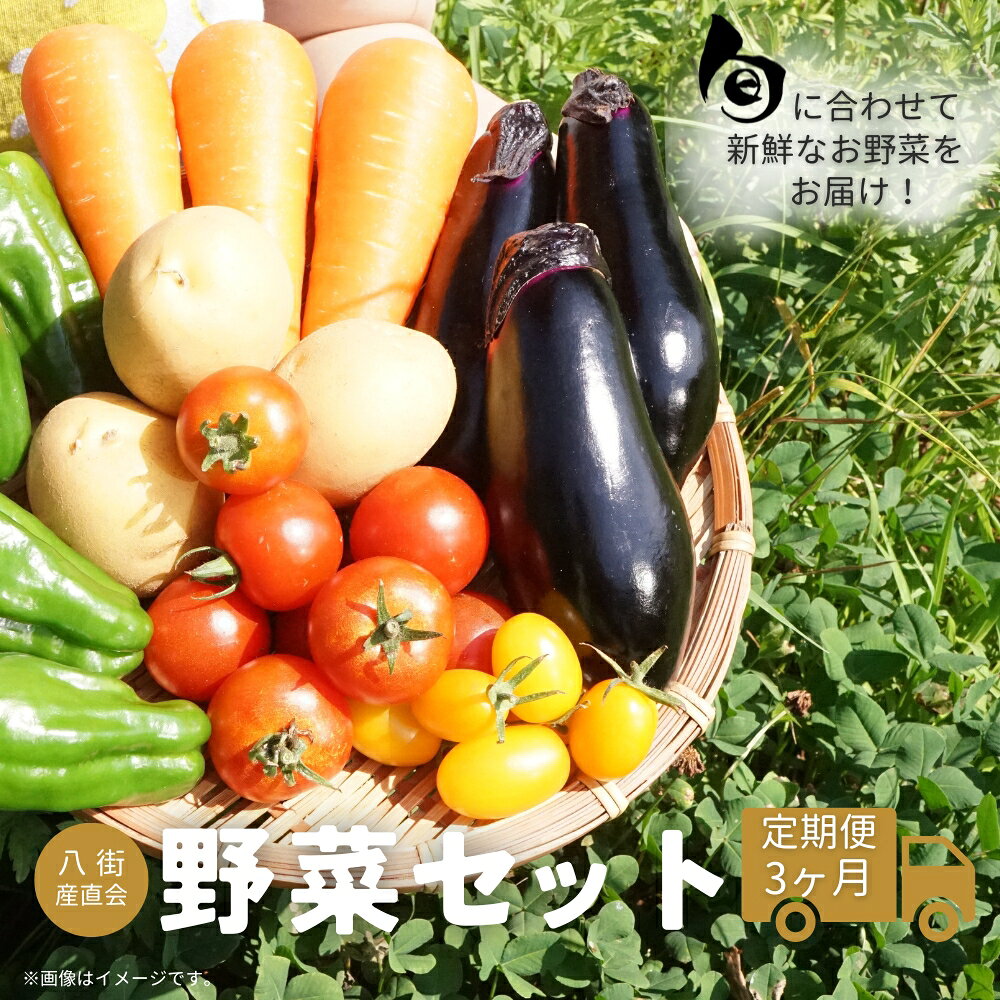 野菜セット 定期便 3ヶ月連続で届く 八街産直会 産地直送 春夏野菜 旬野菜ボックス 採れたて 新鮮野菜 冷蔵配送 6〜7品