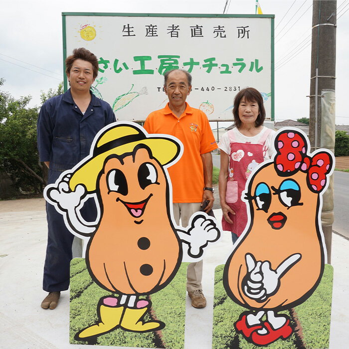 【ふるさと納税】野菜の収穫体験
