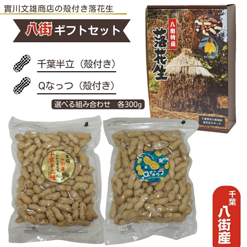 【ふるさと納税】\選べる 八街 ギフトセット/殻付き千葉半立&Qなっつ 八街 ギフトセット・殻付き千葉半立 八街 ギフトセット 落花生 殻付き 焙煎 ビール 酒...