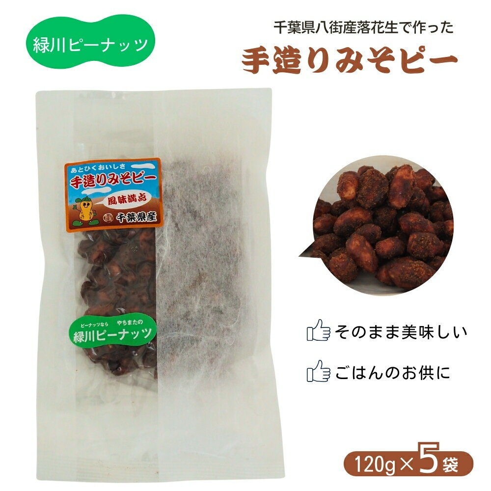 【ふるさと納税】手造りみそピー(真空パック)120g×5袋 八街産落花生 緑川商店 千葉県 落花生 みそピー 郷土料理 ご飯のお供 おやつ 真空パック