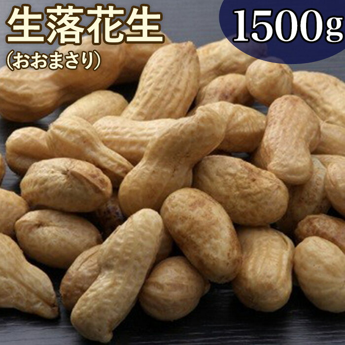 落花生 千葉八街産 古谷さんの手もぎ生落花生/おおまさり 1.5kg （ゆで落花生用）八街産落花生 落花生おおまさり 落花生八街 ふるさと納税 落花生業者会 出由本店 千葉県 落花生 生 新豆
