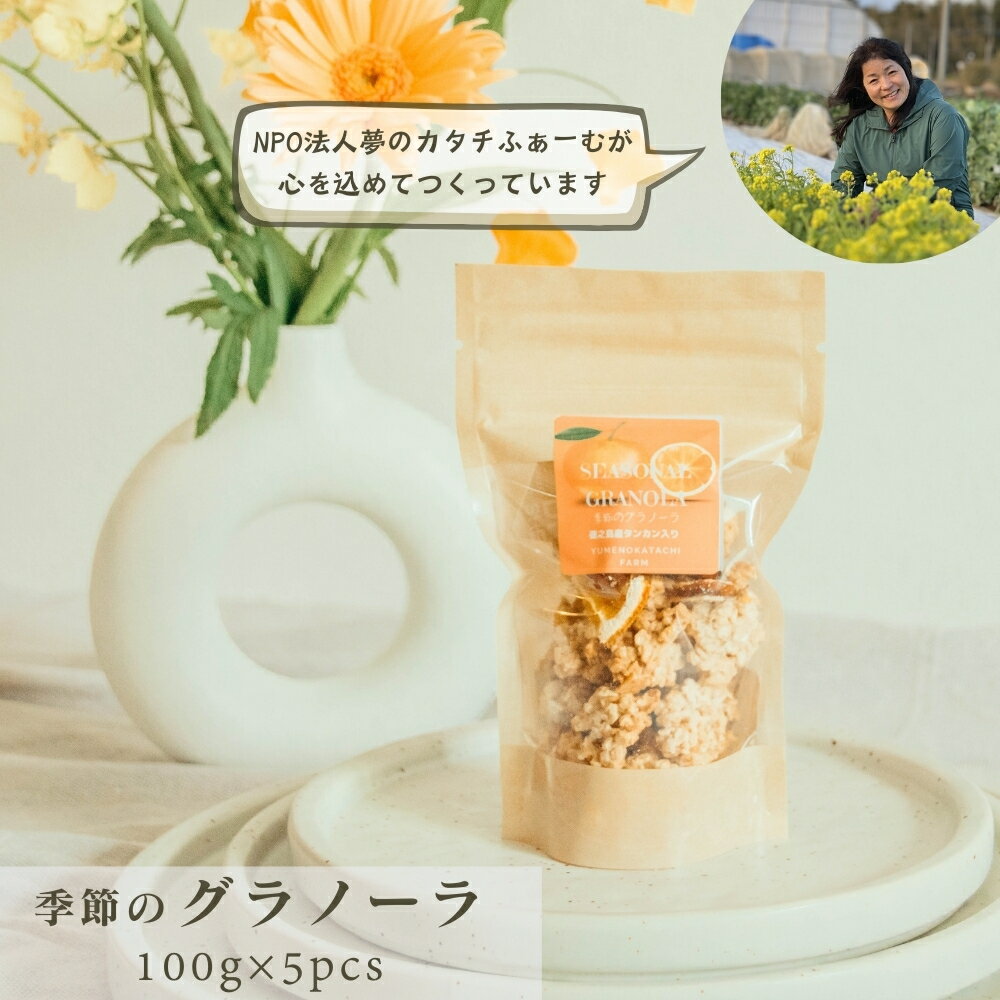 【ふるさと納税】季節の果物や野菜を取り入れた グラノーラ のセット 100g入り×5個