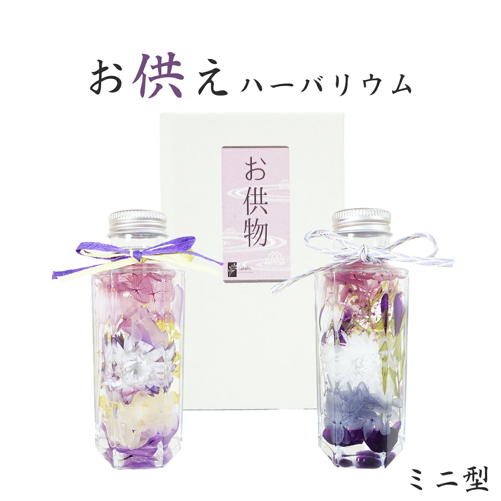 ڤդ뤵Ǽǡ ٤ 顼ϡХꥦࡡߥ˷ ѡץ 饤ȥѡץ ƥꥢե ϡХꥦ 饹 ...