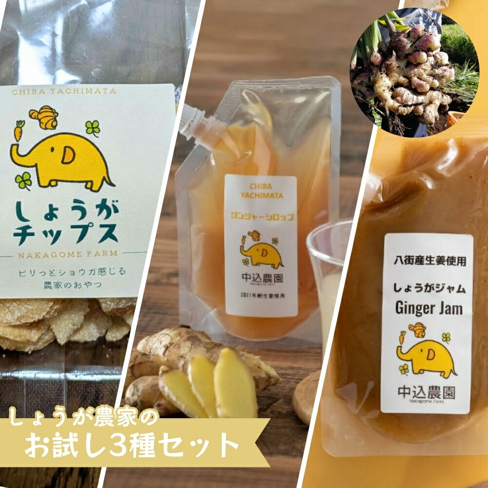 ジンジャーシロップ3個セット・しょうがジャム3個セット・しょうがチップス3袋セット・3種お試し