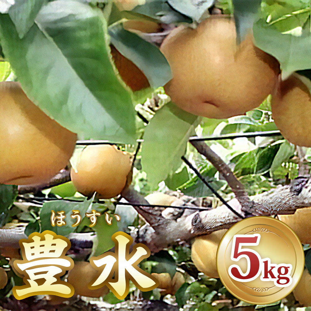 【ふるさと納税】[2025年8月から発送] 印西の梨 豊水｜梨 ナシ フルーツ 果物 スイーツ 先行予約 [0426]のサムネイル