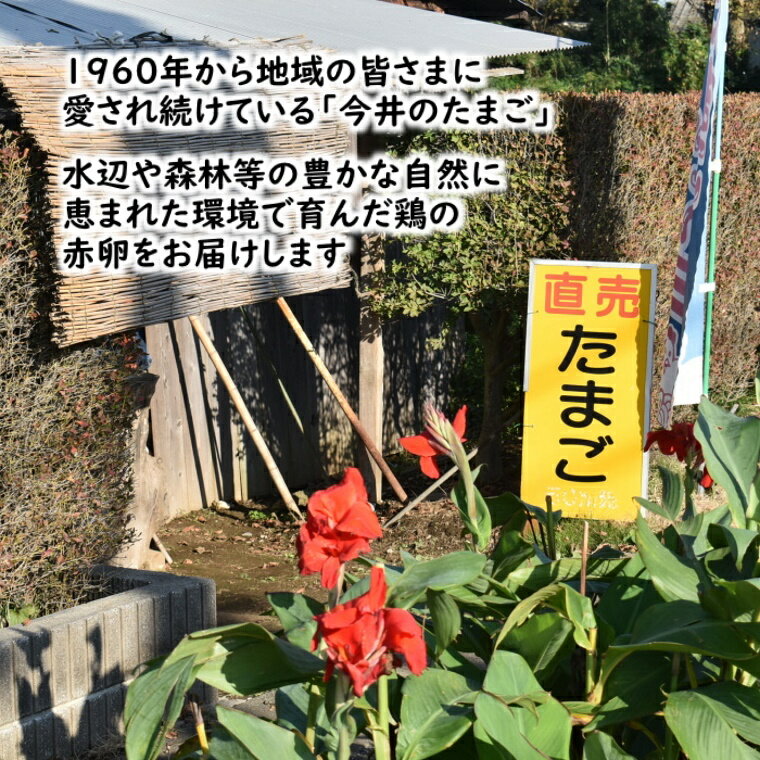 【ふるさと納税】今井のたまご 30個 10個×3箱 2L L ミックス 卵 お届けは1回 または 定期便 6か月