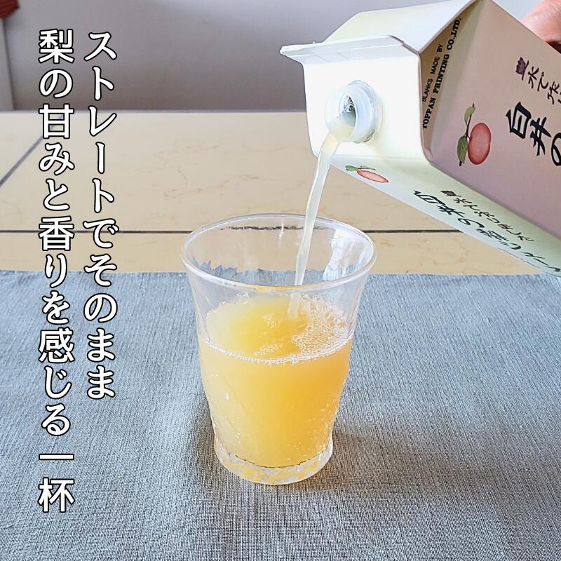 【ふるさと納税】白井の梨ジュース 1,000ml 6本セット 遠山珈琲