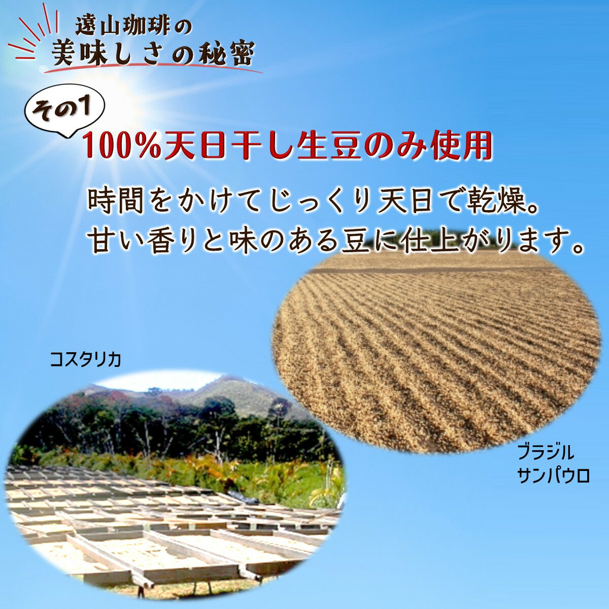【ふるさと納税】コーヒー 6種類 詰め合わせ 各200g 1.2kg コーヒー豆 コーヒー粉 煎りたて 挽きたて 天日干し 自家焙煎 手焼きコーヒー 飲み比べ 珈琲セット コーヒーセット おすすめ 美味しい 飲料 遠山珈琲