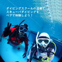 【ふるさと納税】 ペアでダイビング体験 2名様 体験時間3時間 ダイビング専用プール 初心者歓迎