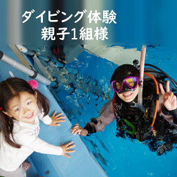 【ふるさと納税】ダイビング体験 3時間 ダイビング専用プール 大人1名子供1名様