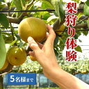 【ふるさと納税】梨狩り体験 梨のもぎ取り 1グループ5名様まで 幸水 豊水 新高 収穫体験 おすすめ 夏の味覚 秋の味覚 しろいの梨